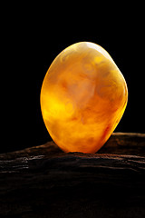 Image showing Natural amber. A piece of yellow opaque natural amber on large piece of dark stoned wood.