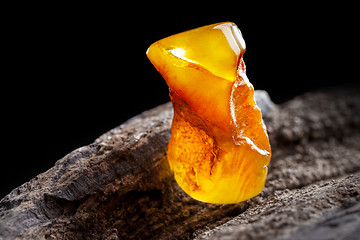 Image showing Natural amber. A piece of yellow opaque natural amber on large piece of dark stoned wood.