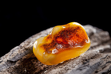 Image showing Natural amber. A piece of yellow opaque natural amber on large piece of dark stoned wood.