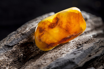 Image showing Natural amber. A piece of yellow opaque natural amber on large piece of dark stoned wood.