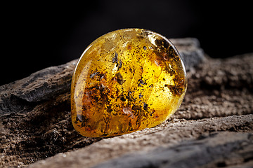 Image showing Natural amber stone. A piece of dirty transparent yellow amber on piece of stoned wood.