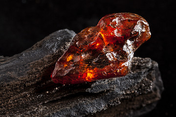 Image showing Natural amber. A piece of yellow and red semi transparent natural amber on piece of stoned wood.