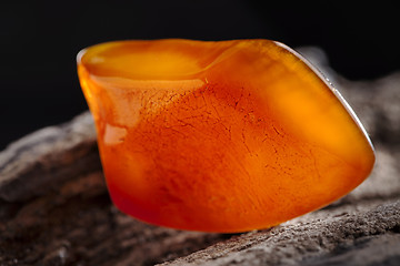 Image showing Natural amber. A piece of yellow and red semi transparent natural amber on piece of stoned wood.