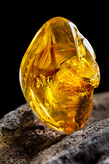 Image showing Natural amber. A piece of yellow transparent natural amber on large piece of dark stoned wood.