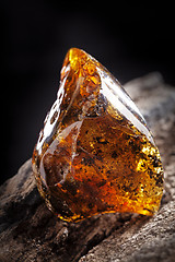 Image showing Natural amber stone. A piece of dirty transparent yellow amber on piece of stoned wood.