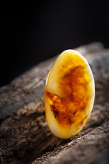 Image showing Natural amber. A piece of yellow opaque natural amber on large piece of dark stoned wood.