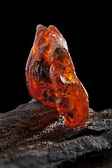 Image showing Natural amber. A piece of yellow and red semi transparent natural amber on piece of stoned wood.