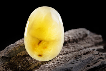 Image showing Natural amber. A piece of yellow opaque natural amber on large piece of dark stoned wood.