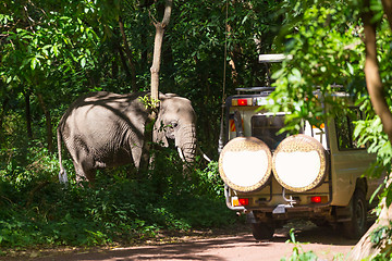 Image showing Wild african elephant beeing observed by tourist from open roof jeep on wildlife safari.