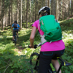 Image showing Active sporty couple riding mountain bikes on forest trail .