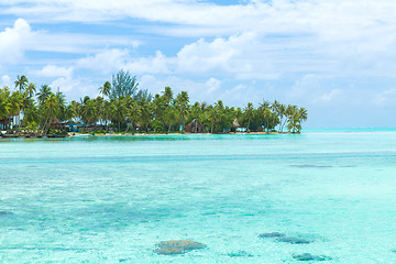 Image showing palm trees and huts on beach in french polynesia
