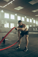 Image showing Men with battle rope battle ropes exercise in the fitness gym.