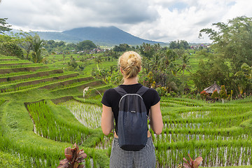 Image showing Caucasian female tourist wearing small backpack looking at beautiful green rice fields and terraces of Jatiluwih on Bali island