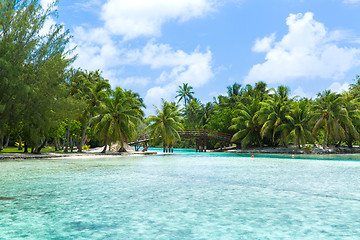 Image showing bridge on tropical beach in french polynesia