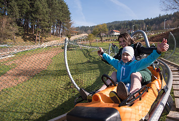 Image showing mother and son enjoys driving on alpine coaster