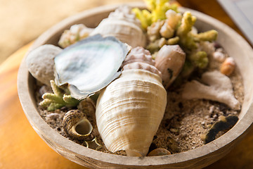 Image showing close up of seashells and corals in bowl on table