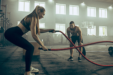 Image showing Woman with battle ropes exercise in the fitness gym.