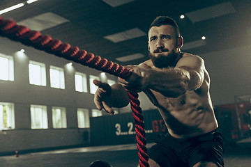 Image showing Men with battle rope battle ropes exercise in the fitness gym.