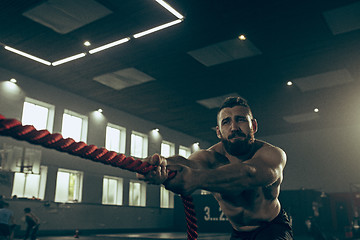 Image showing Men with battle rope battle ropes exercise in the fitness gym.