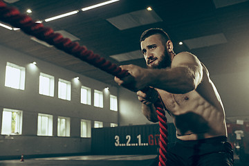 Image showing Men with battle rope battle ropes exercise in the fitness gym.