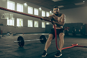 Image showing Men with battle rope battle ropes exercise in the fitness gym.