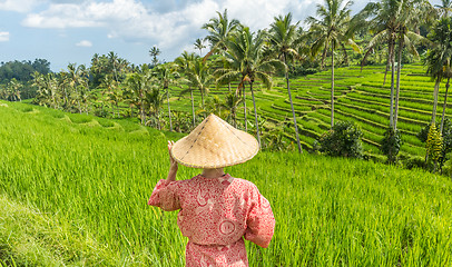 Image showing Relaxed fashionable caucasian woman wearing red asian style kimono and traditional asian paddy hat looking at beautiful green rice fields and terraces on Bali island