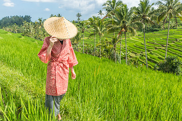 Image showing Relaxed fashionable caucasian woman wearing red asian style kimono and traditional asian paddy hat walking amoung beautiful green rice fields and terraces on Bali island