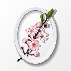 Image showing Branch of pink sakura cherry flowers in frame