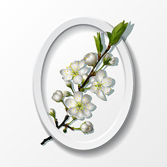 Image showing Branch of white cherry flowers in paper frame