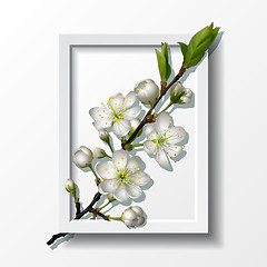 Image showing Branch of white cherry flowers in paper frame