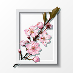 Image showing Branch of pink sakura cherry flowers in frame