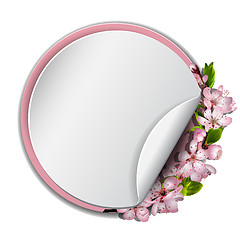 Image showing Round frame with sakura blossom.