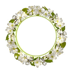 Image showing Spring round frame with cherry branch blossom.