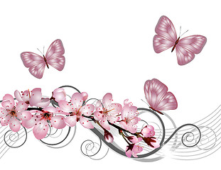 Image showing Blossoming sakura cherry branch with pink flowers