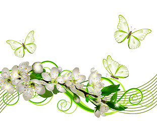 Image showing Blossoming cherry branch with white flowers