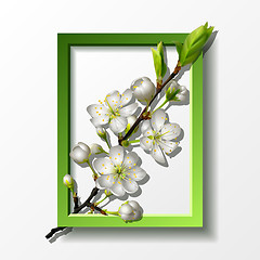 Image showing Branch of white cherry flowers in green frame