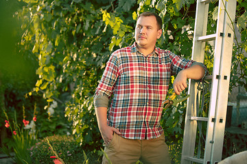 Image showing Mant prune grape brunch, work on a family farm