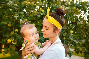 Image showing The happy young family during picking apples in a garden outdoors