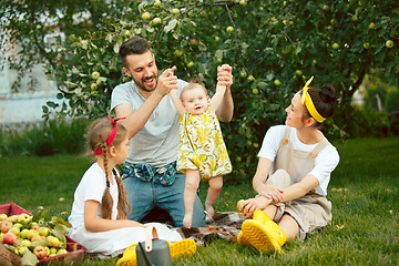 Image showing The happy young family during picking apples in a garden outdoors