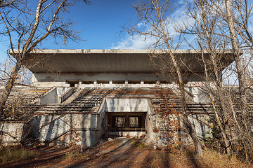 Image showing Forest reclaiming the Zone, in Chernobyl