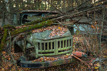 Image showing Fallen tree on abandoned truck left outside