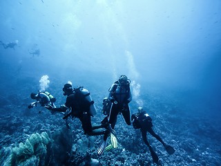 Image showing Scuba divers descending to the bottom