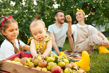 Image showing The happy young family during picking apples in a garden outdoors