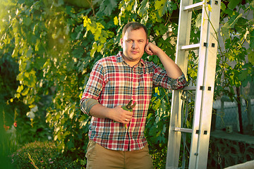 Image showing Mant prune grape brunch, work on a family farm