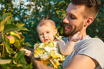 Image showing The happy young family during picking apples in a garden outdoors