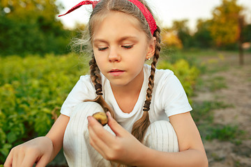 Image showing The Children on the harvest of potatoes.