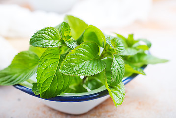 Image showing fresh mint