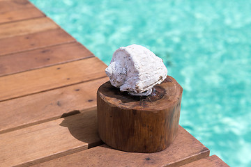 Image showing seashell on wooden pier in sea water