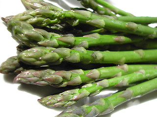 Image showing Fresh asparagus spears on a white background