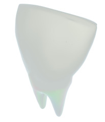 Image showing Tooth. 3d illustration